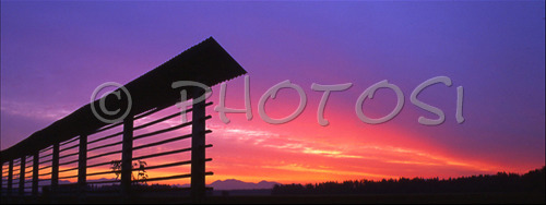 IMAGE: http://www.photo.si/img/nature/n_landscape_030116nn_0001.jpg