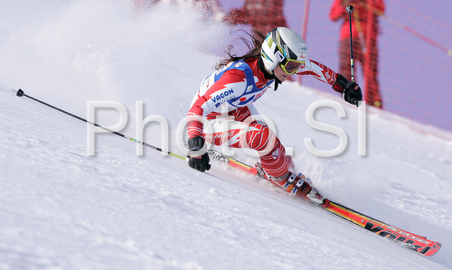 IMAGE: http://www.photo.si/img/sport/spo_skiing_20081025nw_00360.jpg