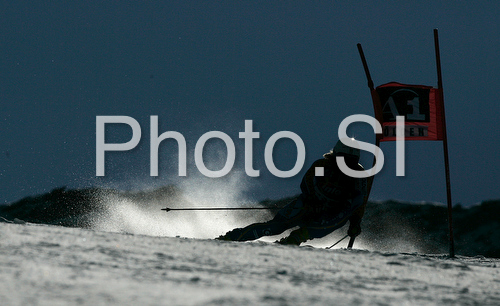 IMAGE: http://www.photo.si/img/sport/spo_skiing_20081026nw_01687.jpg