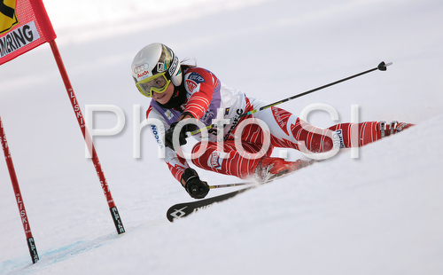 IMAGE: http://www.photo.si/img/sport/spo_skiing_20081228nw_00261.jpg