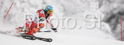 IMAGE: http://www.photo.si/img/sport/spo_skiing_20090104nw_02284.jpg