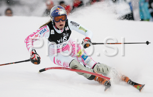 IMAGE: http://www.photo.si/img/sport/spo_skiing_20090104nwm_02264.jpg