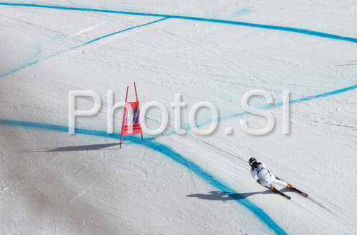 IMAGE: http://www.photo.si/img/sport/spo_skiing_20090220nw_14052.jpg