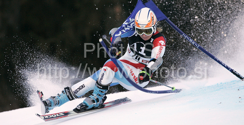IMAGE: http://www.photo.si/img/sport/spo_skiing_20091228nw_03427.jpg