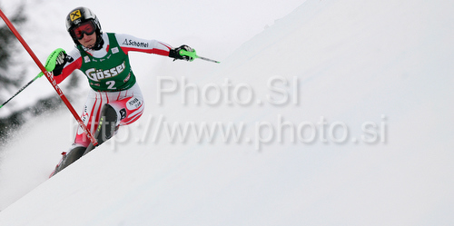 IMAGE: http://www.photo.si/img/sport/spo_skiing_20091229nw_04323.jpg