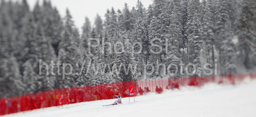 IMAGE: http://www.photo.si/img/sport/spo_skiing_20100310nw_21218.jpg