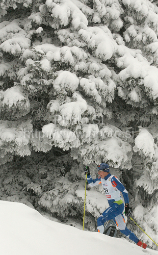 IMAGE: http://www.photo.si/img/sport/spo_xcskiing_20091219nw_00184.jpg