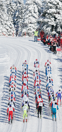 IMAGE: http://www.photo.si/img/sport/spo_xcskiing_20091220nw_02142.jpg