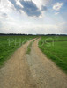 Path is leading through grass fields near village Lahovce, Slovenia. Fields finally turned into green color after long expected spring finally came to villages around Kranj, Slovenia.
