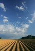 Fields near village Naklo, Slovenia are sown after spring finally came to villages around city of Kranj, Slovenia.
