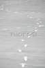 Animal footprints leading across snow covered field on Pokljuka, Slovenia. Snow finally covered plateau of Pokljuka, Slovenia. Land, which is normally covered with snow on end of November, is this year, hardly covered with snow only few days before Christmas. <br> Pokljuka is a foresty plateau at the altitude of around 1300 metres, situated partly in the municipality of Bled, Slovenia and partly in municipality of Bohinj, Slovenia in northwestern Slovenia. It is part of Triglav national park. The plateau is known for its winter sports facilities, among which is also yearly Biathlon World Cup, which is held at Biathlon center Pokljuka, Slovenia.

