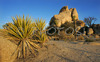 Sun is rising behind Joshua trees and magnificent rock formations in Joshua Tree National Park, CA, USA. Joshua Tree NP is situated in junction of Mohave and Colorado desert in south east California, USA.
