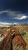 Petrified wood along the Long logs trail in Petrified forest National Park. Petrified Forest National park preserves the largest concentration of petrified wood in North America, perhaps in the World. What sets it apart from other petrified wood sites is its scenic surroundings of badlands, which provide an otherworldly feeling to the experience. Petrified Forest National park is situated approximately 20 miles east of Holbrook, AZ, USA 
