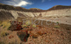 Petrified wood along the Long logs trail in Petrified forest National Park. Petrified Forest National park preserves the largest concentration of petrified wood in North America, perhaps in the World. What sets it apart from other petrified wood sites is its scenic surroundings of badlands, which provide an otherworldly feeling to the experience. Petrified Forest National park is situated approximately 20 miles east of Holbrook, AZ, USA 
