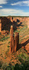 Spider rock is an 800 foot sandstone spire that rises from the canyon floor at the junction of Canyon de Chelly and Monument Canyon. Labyrinth called Canyon de Chelly is really several canyons, which include Canyon de Chelly and Canyon del Muerto. At the mouth of the canyon the rock walls are only 30 feet high. Deeper into the canyons, to the east, the walls rise dramatically until they reach more than 1000 feet above the floor. The cliffs rise straight up, overshadowing the streams, cottonwoods, and small farms below. It has taken about two million years and volumes of water to etch these stone paths through the layers of sandstone and igneous rock as the Defiance Plateau pushed its way upward. Today the canyon still beckons us with its towering stone monoliths and ledges bearing the open windows of ancient people.

