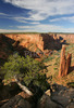 Spider rock is an 800 foot sandstone spire that rises from the canyon floor at the junction of Canyon de Chelly and Monument Canyon. Labyrinth called Canyon de Chelly is really several canyons, which include Canyon de Chelly and Canyon del Muerto. At the mouth of the canyon the rock walls are only 30 feet high. Deeper into the canyons, to the east, the walls rise dramatically until they reach more than 1000 feet above the floor. The cliffs rise straight up, overshadowing the streams, cottonwoods, and small farms below. It has taken about two million years and volumes of water to etch these stone paths through the layers of sandstone and igneous rock as the Defiance Plateau pushed its way upward. Today the canyon still beckons us with its towering stone monoliths and ledges bearing the open windows of ancient people.
