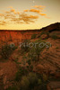 Trail to White house ruins is about 1.5 miles long trail, where people can enter Canyon de Chelly without Navajo guide. It is winding down the slopes into 700 feet deep Canyon de Chelly. White house ruin below in Canyon de Chelly. White house was built  by ancient Puebloan people and occupied around 1000 years ago.  It is named for the long wall in the upper dwelling that is covered with white plaster. Canyon de Chelly National Monument is located near Chinle, AZ, USA and is hiding numerous house ruins of Navajo Indians, which were settled in Canyon de Chelly. Labyrinth called Canyon de Chelly is really several canyons, which include Canyon de Chelly and Canyon del Muerto. At the mouth of the canyon the rock walls are only 30 feet high. Deeper into the canyons, to the east, the walls rise dramatically until they reach more than 1000 feet above the floor. The cliffs rise straight up, overshadowing the streams, cottonwoods, and small farms below. It has taken about two million years and volumes of water to etch these stone paths through the layers of sandstone and igneous rock as the Defiance Plateau pushed its way upward. Today the canyon still beckons us with its towering stone monoliths and ledges bearing the open windows of ancient people.
