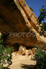 Ruins of Spruce Tree house in Mesa Verde National park. Mesa Verde National Park was created to preserve the archeological heritage of the Ancestral Puebloans, both atop the mesas and in the cliffs dwellings below. The park includes over 4500 archeological sites, only 600 are cliff dwellings. Mesa Verde National park is located near Cortez, CO, USA.
