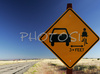 Table for proper overtaking of cyclists in Canyonlands National park. Canyonlands preserves a wilderness of rock at the heart of the Colorado Plateau. Water and gravity have been the prime architects of this land, cutting flat layers of sedimentary rock into hundreds of canyons, mesas, buttes, fins, arches, and spires. At center stage are two canyons carved by the Green and Colorado rivers. Surrounding the rivers are vast and very different regions, Island in the Sky on north, the Maze at west and the Needles at east. Canyonlands national park is located near Moab, Utah, USA.
