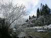 Low temperatures which have fallen under -10c in last week, and high humidity on bank of Sava Dolinka river near village Mojstrana, Slovenia, created spectacular view of tree branches covered with white frost. 
