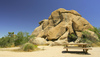 Joshua trees and rock formations in Joshua tree.  Joshua Tree National Park, California, USA