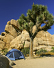 Idilic camping place in middle of desert. Camp is located in Hidden Valley on Northwest part of Joshua Tree National park, Ca. Joshua Tree National park, California, USA