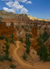 Bryce National Park.