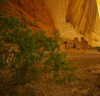 White house ruin below in Canyon de Chelly. White house was built  by ancient Puebloan people and occupied around 1000 years ago.  It is named for the long wall in the upper dwelling that is covered with white plaster. Canyon de Chelly National Monument is located near Chinle, AZ, USA and is hiding numerous house ruins of Navajo Indians, which were settled in Canyon de Chelly. Labyrinth called Canyon de Chelly is really several canyons, which include Canyon de Chelly and Canyon del Muerto. At the mouth of the canyon the rock walls are only 30 feet high. Deeper into the canyons, to the east, the walls rise dramatically until they reach more than 1000 feet above the floor. The cliffs rise straight up, overshadowing the streams, cottonwoods, and small farms below. It has taken about two million years and volumes of water to etch these stone paths through the layers of sandstone and igneous rock as the Defiance Plateau pushed its way upward. Today the canyon still beckons us with its towering stone monoliths and ledges bearing the open windows of ancient people.