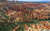 Bryce National Park.