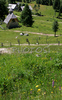 Uskovnica is 1154m high higland pasture, where herdsman still look after cows during summer. Uskovnica is located about 40 minutes walk from Rudno Polje on Pokljuka, Slovenia.
