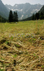 Jezersko with one of its valleys, Ravenska Kocna, under high mountains of Grintovec in early summer day. Grass is freshly cut, and high altitude makes summer day with hot temperatures bearable.
