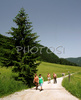 Jezersko with one of its valleys, Ravenska Kocna, under high mountains of Grintovec in early summer day. Grass is freshly cut, and high altitude makes summer day with hot temperatures bearable.
