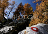 Fall brought first snow in mountains around Vrsic, Slovenia. Trees in mountains above Kranjska gora, Slovenia, painted their leaves into colorful fall colors, while first snow in mountains put some more contrast to already beautiful and peaceful landscape. <br> 
