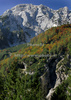 Valley of Tamar, Slovenia, with surrounding mountains is presenting autumn colors on sunny, early autumn morning. Tree leafs are slowly turning from green to all shades of yellow and brown, while sun was still pretty strong on morning of 4th of October 2009.
