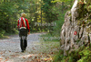 Mountaineer walking in toward end of Tamar Valley, Slovenia. Valley of Tamar, Slovenia, with surrounding mountains is presenting autumn colors on sunny, early autumn morning. Tree leafs are slowly turning from green to all shades of yellow and brown, while sun was still pretty strong on morning of 4th of October 2009.

