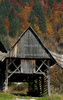 Hayrack in village Studor, Slovenia, near Bohinj lake. Autumn dressed surrounding of Bohinj lake into beautiful fall colors. Lake Bohinj lies between Bohinjs mountains, which rise from 1600 to 2000 meters, and is Slovenias largest glacial lake. It is 4.2 kilometers long, one kilometer wide, and forty-five meters deep. Bohinj is a valley that stretches from Soteska to Ukanc. On the south side, it is enclosed by the Lower Bohinj Mountains, which rise to 2.000 meters, and on the north by the Triglav mountain range with 2864m high Mount Triglav, Slovenias highest mountain.
