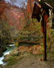 Waters of Radovna river are flowing through picturesque gorge of Blejski Vintgar. Carved into the steep walls of the gorge, the trail leeds you over bridges and through galleries just above tumultuous rapids and deep pools of crystal-clear water. The gorge ends at the 16meter high Sum Waterfall. Gorge of Blejski Vintgar is a protected natural site.
