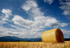 Wheat hay is rolled and waiting for transportation after wheat was harvested on sunny and hot summer afternoon of 19th of July 2010. Wheat fields are located near village Menges, Slovenia.
