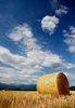 Wheat hay is rolled and waiting for transportation after wheat was harvested on sunny and hot summer afternoon of 19th of July 2010. Wheat fields are located near village Menges, Slovenia.
