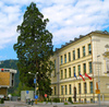 the Kranj Grammar School giant sequoia. <br> it is a protected natural monument. The top of this 27-metre high tree had leant about five metres off-centre because of the impact of the adjacent car park. That is, the tree was beginning to lean even further due to the decrease of air and water in the ground and the increased pressure on the tree roots. Consequently, there was a risk that the tree could have fallen. To preserve this unique natural monument, the Regional Unit of the Institute for the Protection of Nature of the Republic of Slovenia proposed that the tree should be secured by steel to the school building since a prior study showed the tree trunk to be in a healthy condition. Therefore in the spring of 2003, the tree was secured to the grammar school building.
