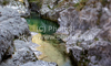 Soca river is flowing through gorges near village Lepena, Slovenia. Early morning sun is shining through tree leaves on morning of Friday, 22nd of April 2011.
