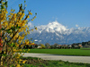 Spring in Kranj, Slovenia. Storzic 2132 m. Storzic is the highest mountain in the western part of the KamnikÐSavinja Alps. 
