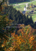 Forest in autumn colors is rising above valley of Bohinj, Slovenia, which is still covered with thick morning fog. View over the valley from Vodnikov razglednik near village Koprivnik, Slovenia, is outstanding and it takes breath away on such sunny morning.
