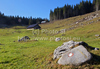 Traditional red and white circle marking for mountain path on rock in Kranjska dolina in Pokljuka, Slovenia. Winter and cold is slowly coming to meadows of Kranjska dolina in Pokljuka, Slovenia, on sunny and cold morning of Saturday, 17th of November 2012.
