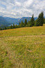 View to Bohinj lake from mountain meadows just under the top of Rudnica mountain. Rudnica is 946m high mountain located on ridge dividing upper and lower Bohinj valley, offering beautiful views to Julian Alps mountains, and villages of lower and upper Bohinj valley.
