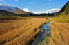 Zelenci is a spring and nature reserve near village of Kranjska Gora, Slovenia. Zelenci sprin is source of Sava river. <br> At Zelenci, water from the underground stream Nadiza emerges through the porous bottom of 2 meter deep lake, whose waters are noted for their deep, brilliant green. The spring and its surrounding area are named after this color, as zelen meaning green in Slovene.
