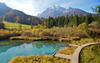 Zelenci is a spring and nature reserve near village of Kranjska Gora, Slovenia. Zelenci sprin is source of Sava river. <br> At Zelenci, water from the underground stream Nadiza emerges through the porous bottom of 2 meter deep lake, whose waters are noted for their deep, brilliant green. The spring and its surrounding area are named after this color, as zelen meaning green in Slovene.
