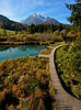 Zelenci is a spring and nature reserve near village of Kranjska Gora, Slovenia. Zelenci sprin is source of Sava river. <br> At Zelenci, water from the underground stream Nadiza emerges through the porous bottom of 2 meter deep lake, whose waters are noted for their deep, brilliant green. The spring and its surrounding area are named after this color, as zelen meaning green in Slovene.
