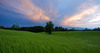 Fields near Preddvor, Slovenia, on summer evening of 13th June 2014,  with stormy sky above them, just after rain storm just passed the area.
