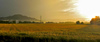 Farmlands (Kranjsko Polje) in Zlato Polje, Kranj,  <br> with the most popular hill in Kranj St. Jost, 847m, in the background.
